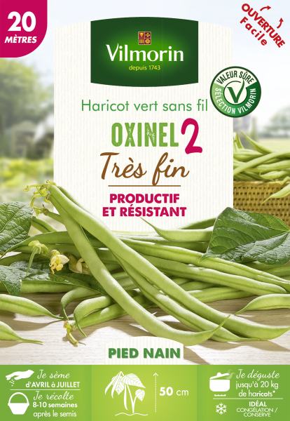 Légumes Secs - Haricot Nain Vert Oxinel 2 - 20 m - PACKAGING_RECTO